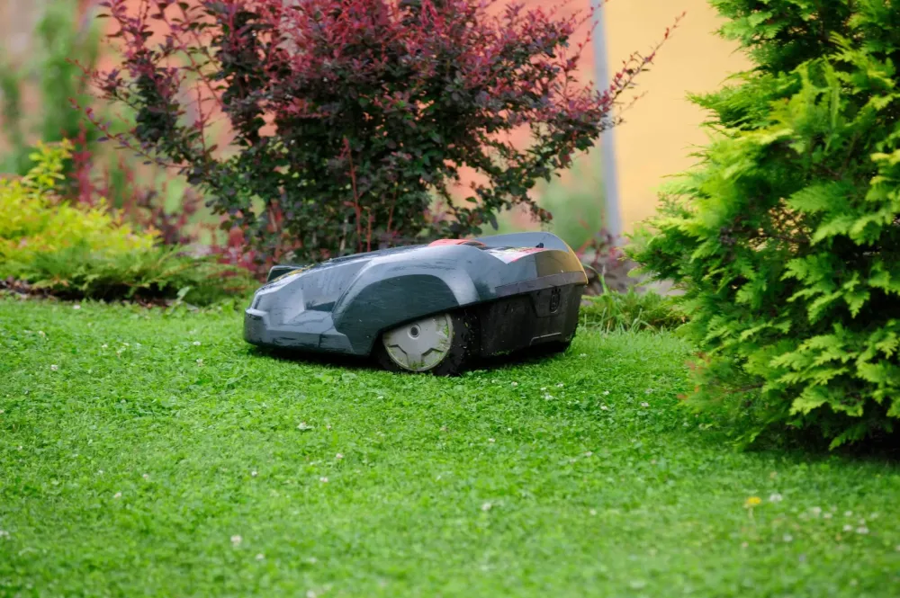 Location de robot tondeuse près de Flavin